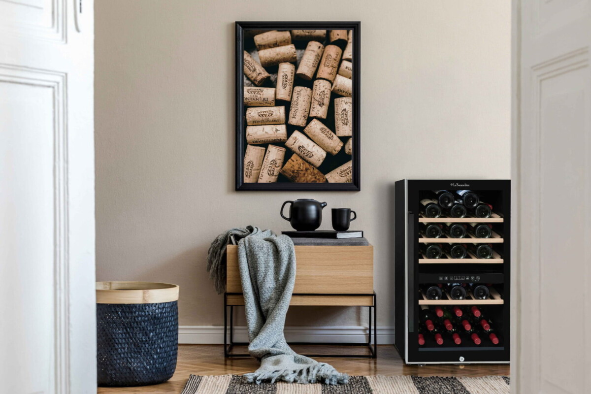 Winiarka wolnostojąca ECS51.2Z - obrazek 2