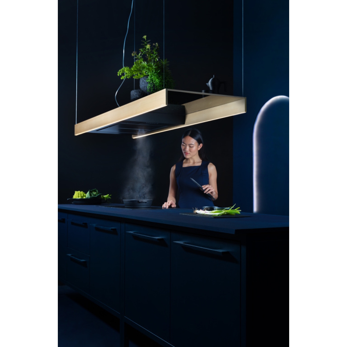 Okap wyspowy Falmec Light Isola 180 cm czarny brąz silnik bezszczotkowy z filtrem Carbon.Zeo 7 Okap wyspowy Falmec Light Isola 180 cm czarny brąz silnik bezszczotkowy z filtrem Carbon.Zeo - obrazek 7