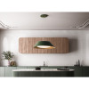 okap wyspowy vogue circle tech 88 cm zielony oswietlenie dynamic led sterowanie z plyty 1 100x100 sqt